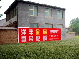 巍山如何让墙体广告展现最大化效果