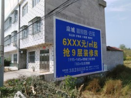 巍山墙体广告质量分析