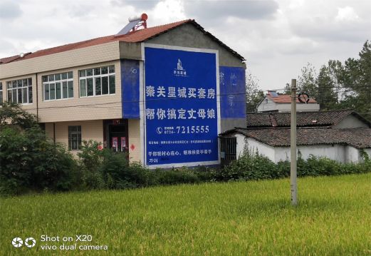巍山决定墙体广告价格的因素有哪些?