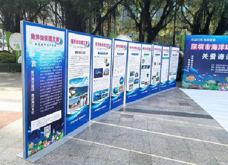 巍山KT板的种类和知识。